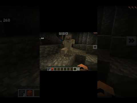 El esqueleto me robo #parati #minecraft #cueva #nerak #humor #shortvideo #shortsviral #shortsfeed