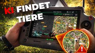 TIERE mit KI erkennen? ERSTE Tiererkennungs KI für Drohnen! (KI für DJI Matrice Serie)