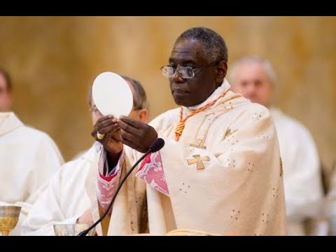 El cardenal Sarah alza la voz contra la abrogación de las Misas no concelebradas en San Pedro