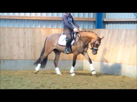 3j Wallach Coke saint of the Life