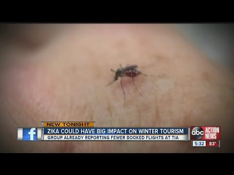Study: Zika brings drop in planned travel to Florida, Tampa this winter