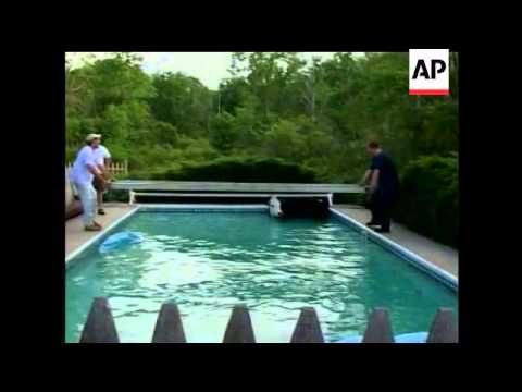 Cow rescued from Mass. pool