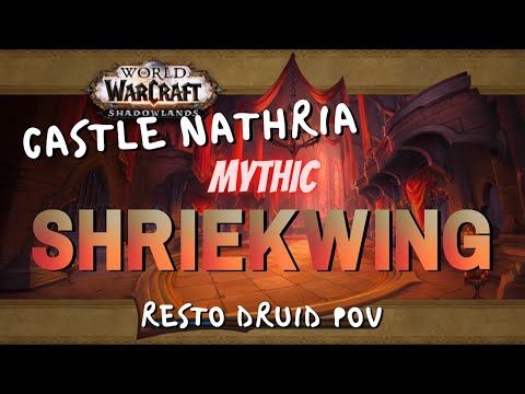 Mythic Shriekwing | Beta Raid Testing | Resto Druid PoV