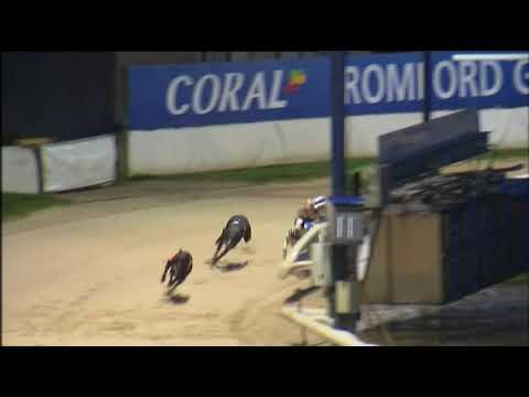 ROMFORD PUPPY CUP - HEAT 2 - T5 QUEEN ANNA