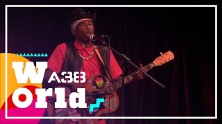 Brushy One String - Chicken in the Corn // Live 2014 // A38 World