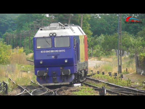 Trenuri & Activitate Feroviara in Gara Valea lui Mihai / Trains in Valea lui Mihai Station - 2025