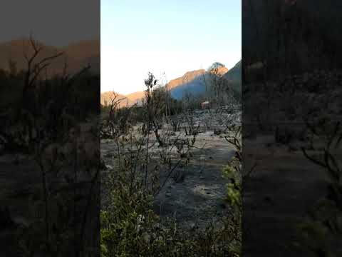 (VIDEO) Piden apoyo de la autoridad y comunidad para extinguir incendio forestal en "Vado Azul" al interior del Santuario Achibueno de Linares