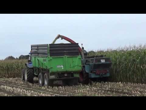 Landb. De Clercq B - Hamme