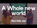 A Whole New World Flute And Violin Cover