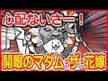 大西○イオンさん！？大狂乱縛りで開眼のマダム・ザ・花嫁攻略！【にゃんこ大戦争】【こーたの猫アレルギー実況re 123】