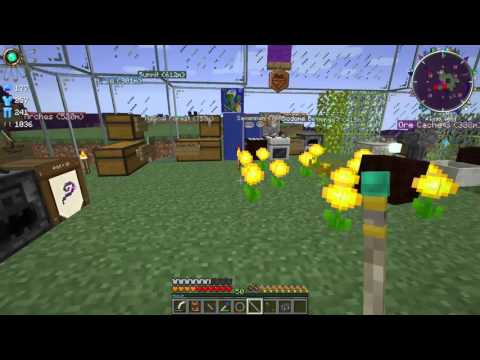 Silverwood Staff + Purifying Tainted Aura Nodes - Blightfall 58