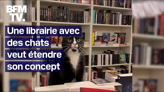 BFMTV