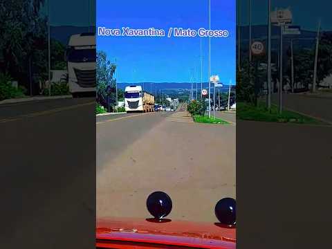 Nova Xavantina  / Mato  Grosso