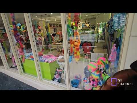 Hotel Caribe Hilton Resort Tour. 