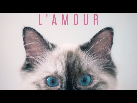 Max Freegrant & Slow Fish - L'amour