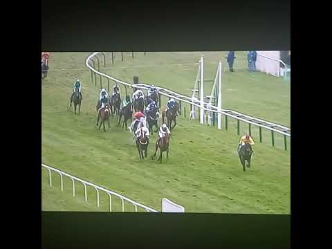 Cheltenham Festival - Dun Doire - 2006 William Hill Trophy Handicap Chase (Grade 3)