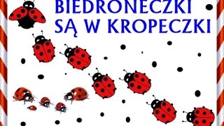Biedroneczki są w kropeczki - Piosenki dla dzieci