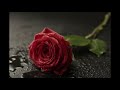 Tum Jo Itna Muskura Rahay Ho Whatsapp Status Romantic Whatsapp Status Sad Whatsapp Status