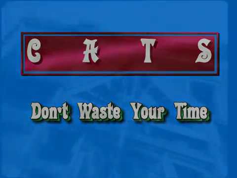 DON' T WASTE YOUR TIME - CATS -   by DANCE HITS & LESIO - remastered by LESIO