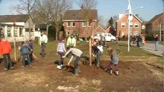 Boomplantdag Haarsteeg
