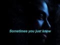Amel Larrieux - I Do Take 