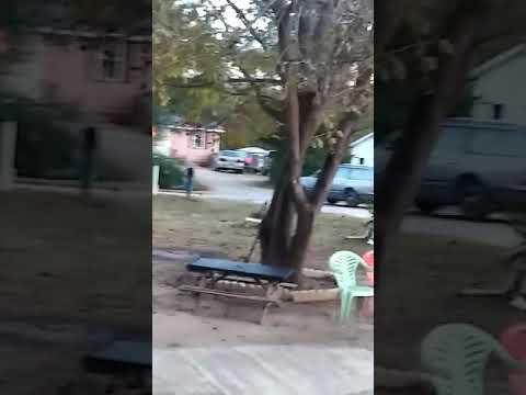 Fastest Station Wagon ever made!!!