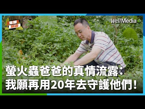 充滿愛的賞螢步道！螢火蟲爸爸的真情流露：我願再用20年去守護他們！【生態旅遊】(螢火蟲之父_下集)