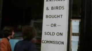 Bob Dylan. Ocurrencias de este genio.