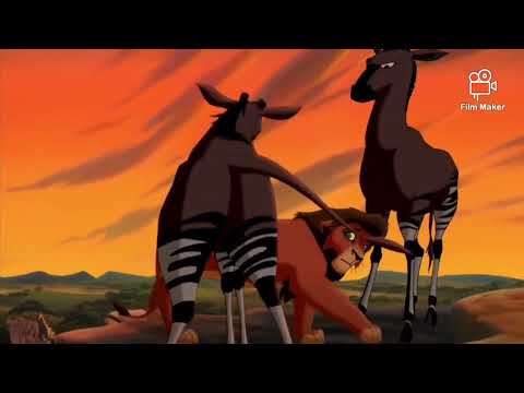 Simba The Jerk Complication