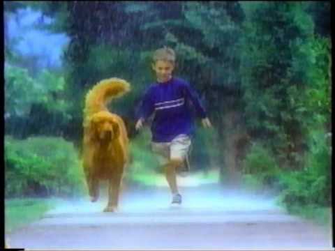Iams Good For Life Commercial -  Backwards Reverse (2001)