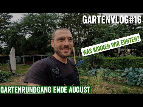 Gartenrundgang Ende August. Die Arbeit hat sich ausgezahlt. So gewinne ich gegen den heißen Sommer!