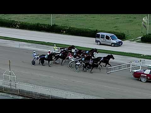 Aversa trotto 27 Gennaio 2021 - 4° Corsa