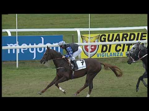 11/12/2016 Meydan Cup San Rossore