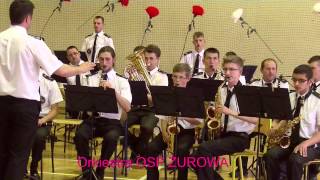 preview picture of video 'ORKIESTRA OSP ŻUROWA  na IV Ryglickiej Paradzie Orkiestr Dętych 2013'