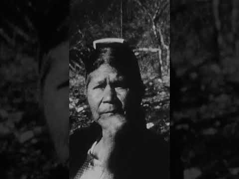 The Cherokee Comb That Holds a Hidden Message from the Past