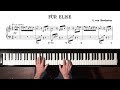 Beethoven “Für Elise” Paul Barton, FEURICH 218 piano