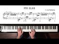 Beethoven Für Elise Paul Barton FEURICH 218 Piano