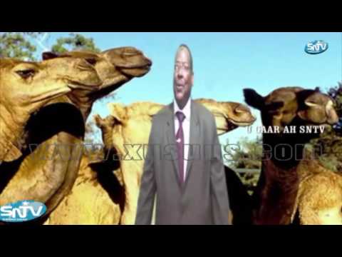 Prof; Dalxa heestii Shankaroon OFFICIAL VIDEO.