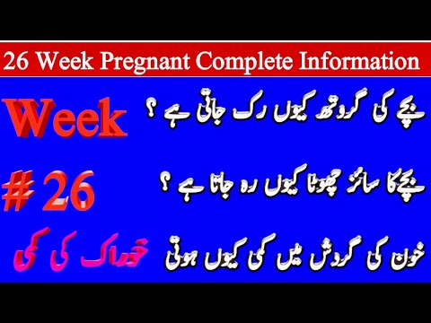 26th Week Of Pregnancy || 26 Week Pregnant || Hamal Ka 26 Hafta ||