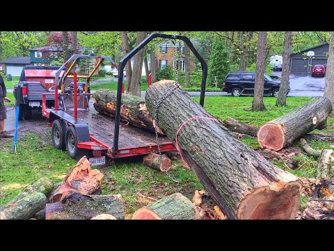 Loading A 3,500lbs Pin Oak Log Using A Log Arch!