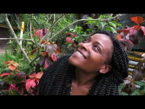 Ras Ishent ft Empress Ivoree Journey   pic video     golden base production