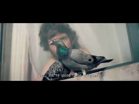 Two Pigeons 2017 ~ Freehold