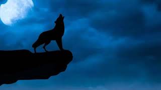 Download lagu Lagu akulah serigala GGS mp3 Download lagu Lagu akulah serigala GGS mp3