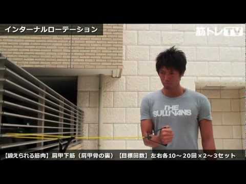 肩甲下筋の鍛え方。効果的な筋トレメニューからストレッチ方法まで徹底解説 - VOKKA - ヴォッカ -