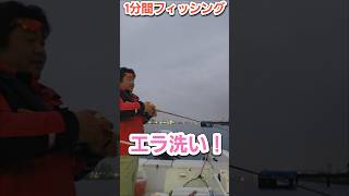 釣果情報の釣果写真