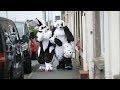 Guy With Rabbit Obsession Dresses Up As Giant Bunny