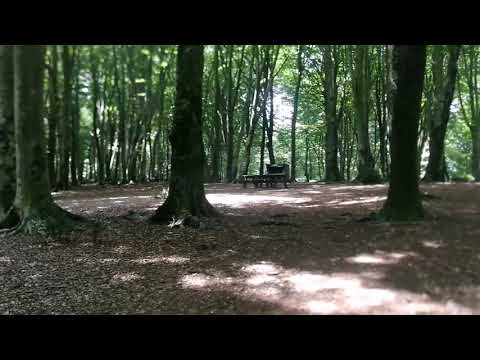 La Faggeta di Bassano Romano-Area attrezzata di pian straciacappello
