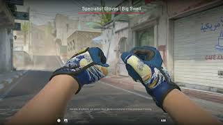 Gloves Big Swell