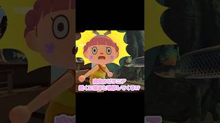 歯がギザギザで怖いぞ～…？！？！#あつ森 #どうぶつの森 #あつまれどうぶつの森 #どう森 #shortvideo #shorts #short #ピラニア