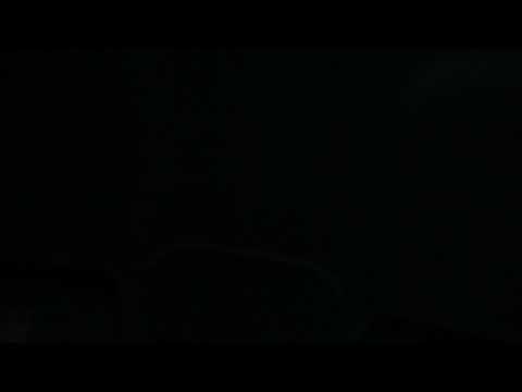 Jungle Mix 06.06.2021